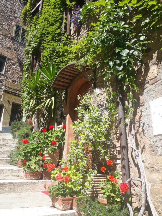 קמפיליה מריטימה La Piazzetta Toscana B&B מראה חיצוני תמונה